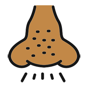 Get treatment for allergies. Drawing of nose with allergies