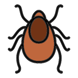 Get treatment for tick and mite conditions. Drawing of tick for section listing treatments for tick, lice or mite exposure