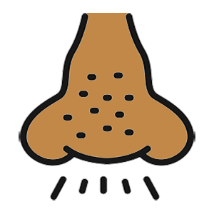 Picture of a nose sneezing due to allergy