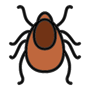 Get treatment for tick and mite conditions. Drawing of tick for section listing treatments for tick, lice or mite exposure