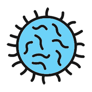 Get treatment after exposure to infections. Drawing of bacteria